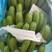 云南高原香蕉：口感细腻丶香糯软甜丶，品质保证丶视频看货