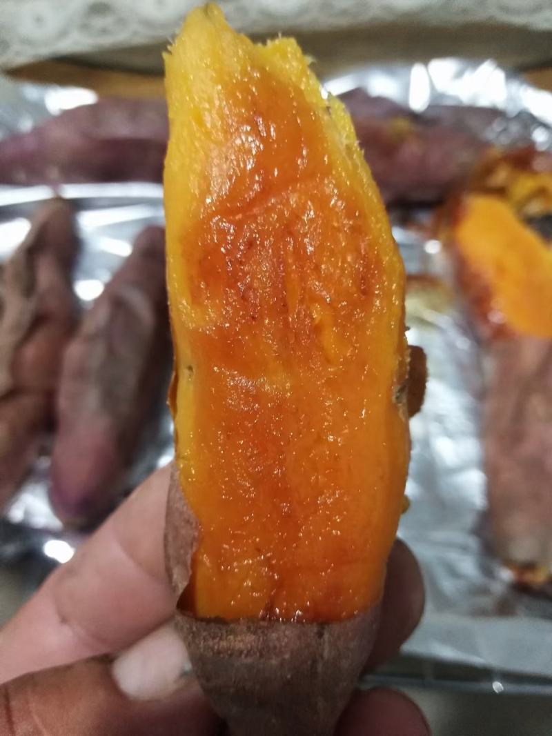 正宗蜜薯大量上市，各种规格齐全