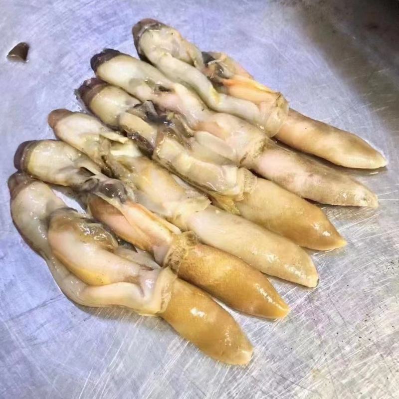 蛏肉，量大从优，欢迎采购一件代发，捞汁食材