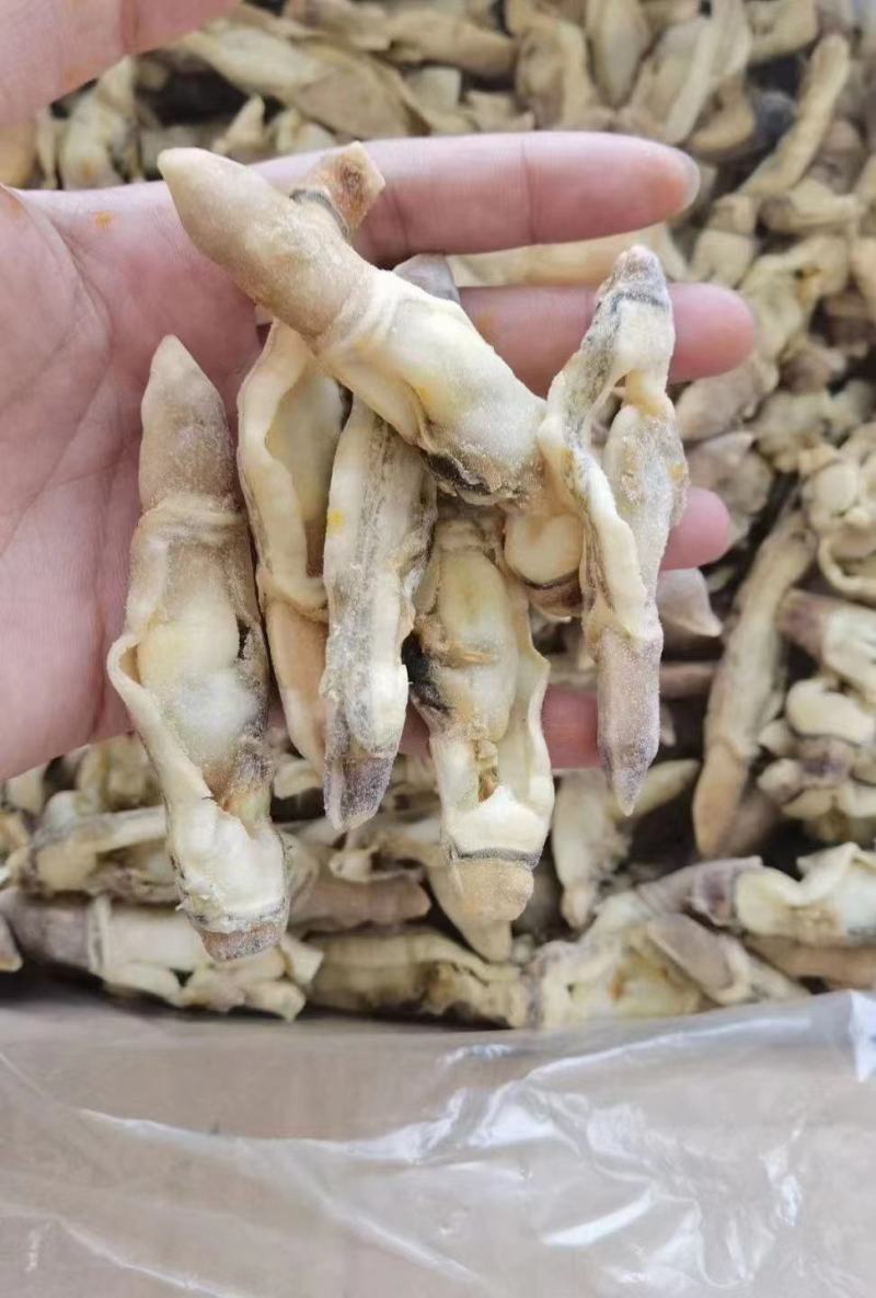 蛏肉，量大从优，欢迎采购一件代发，捞汁食材