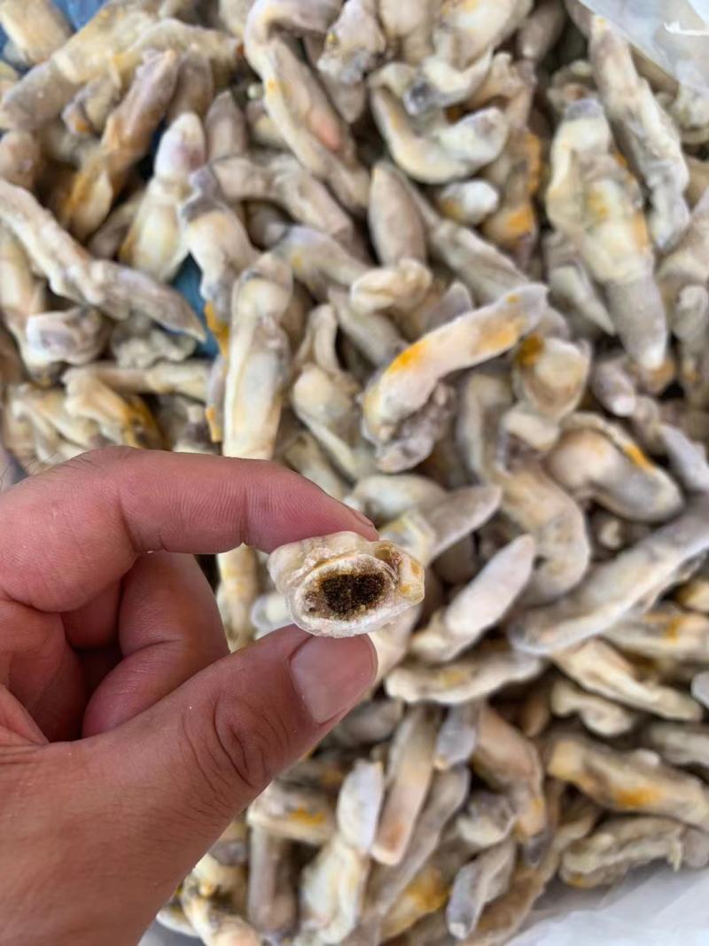 蛏肉，量大从优，欢迎采购一件代发，捞汁食材