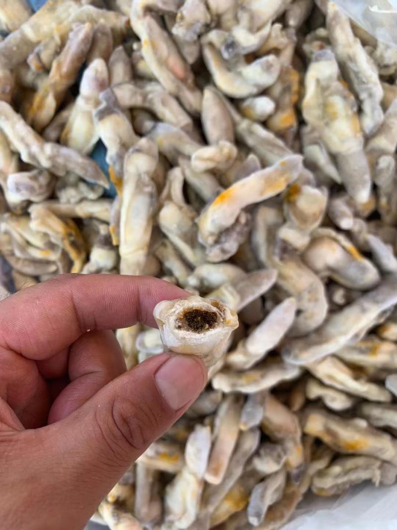 蛏肉，量大从优，欢迎采购一件代发，捞汁食材