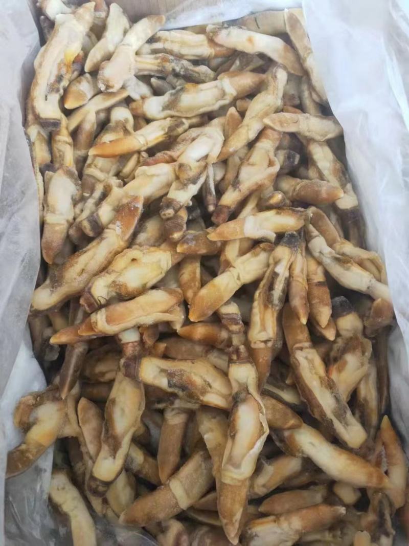 蛏肉，量大从优，欢迎采购一件代发，捞汁食材