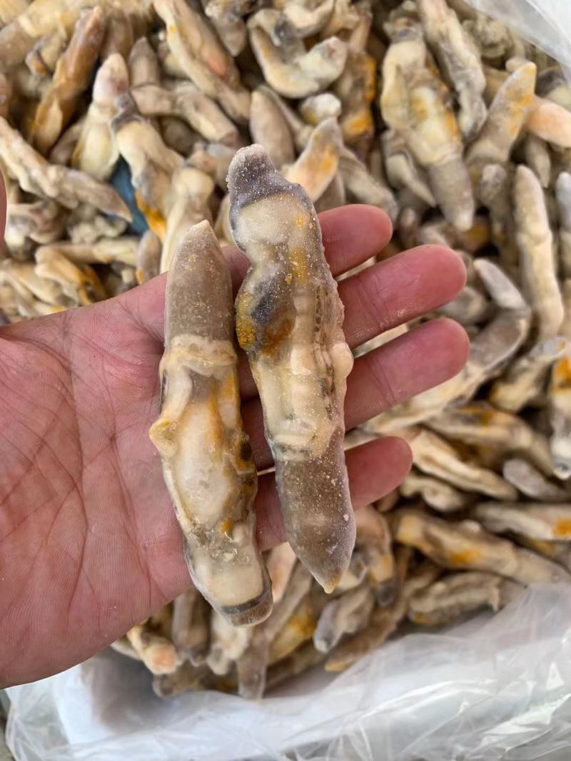 蛏肉，量大从优，欢迎采购一件代发，捞汁食材