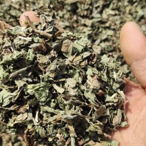 薄荷