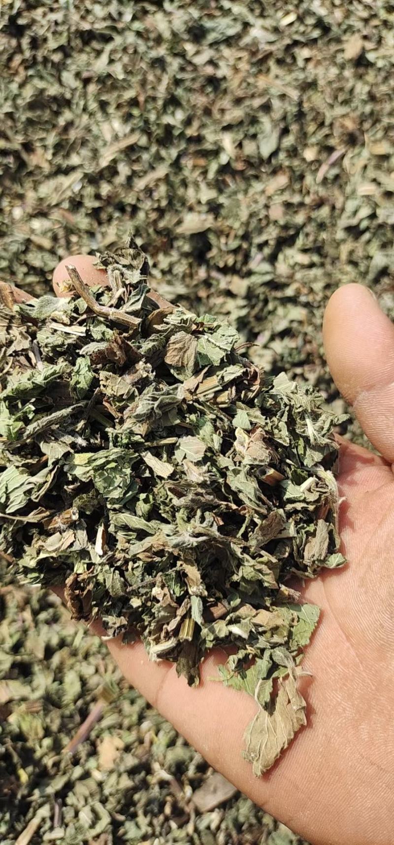 薄荷