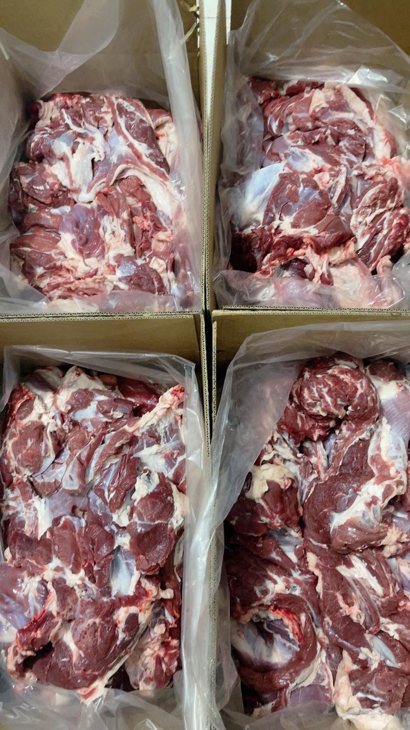 羔羊肉鲜羊肉纯干无水肉质鲜嫩，常年直发，全国发货