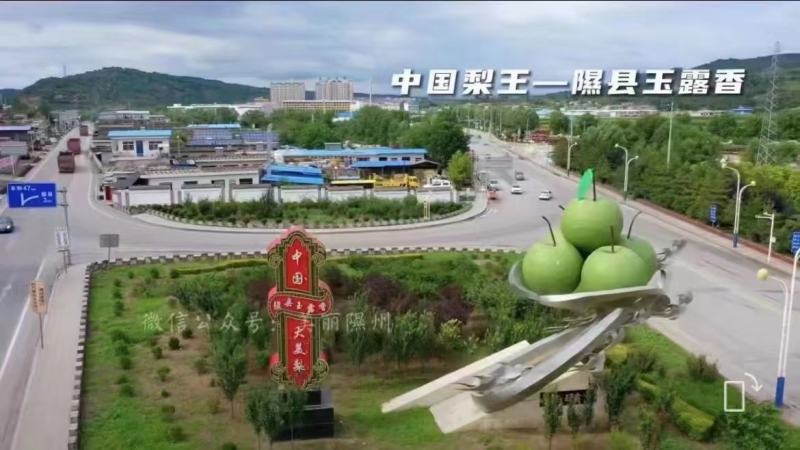 隰县玉露香梨