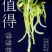 即食裙带菜