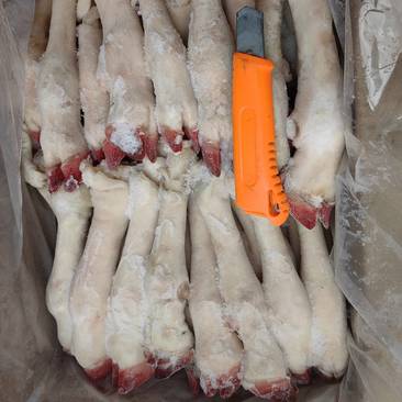 20斤羊蹄新鲜冷冻批发商用非熟食羊头整只生爪子羊肉蹄子鲜