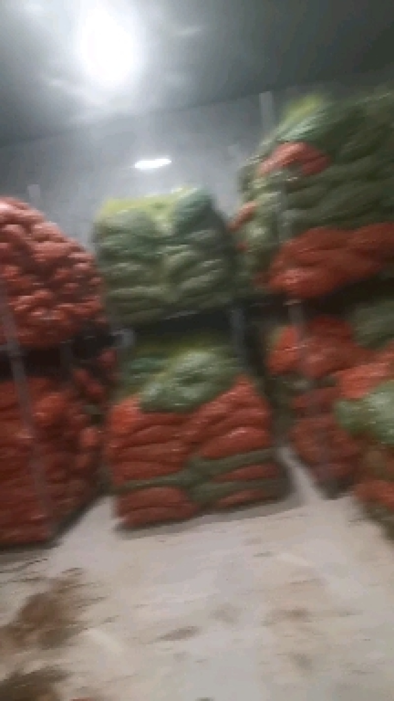 冷库荞头，品质保证，欢迎订购