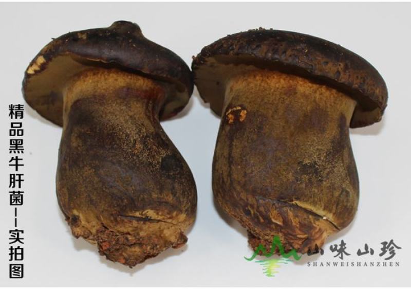 云南黑牛肝菌栽培而成，营养丰富，长期供货一件代发