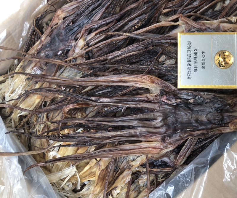 鱿鱼须鱿鱼尾