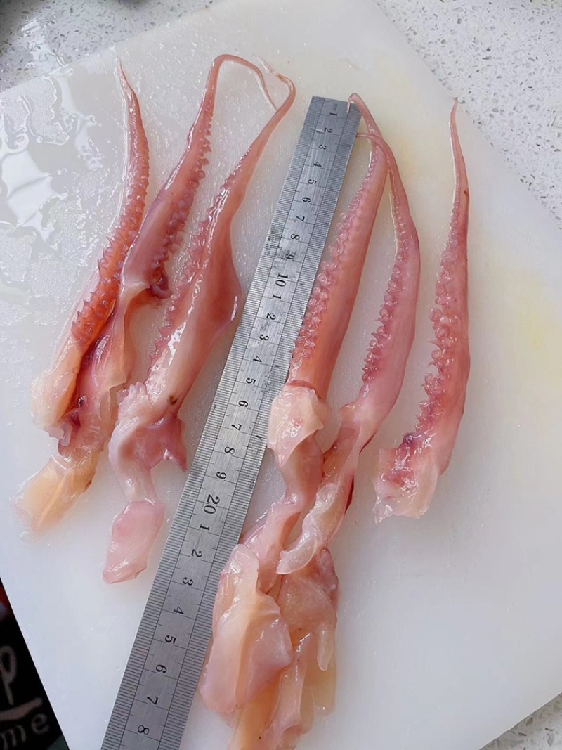 鱿鱼须鱿鱼尾