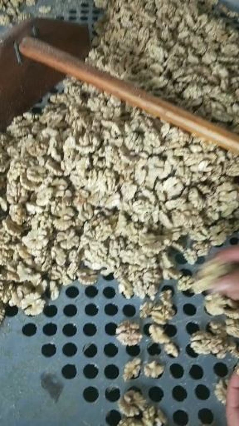 2025年云南省临沧市凤庆县雪山镇千年古树核桃仁