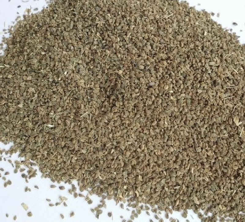 芹菜籽国产芹菜籽芹菜籽源头厂家现货批发质量保证