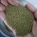 芹菜籽国产芹菜籽芹菜籽源头厂家现货批发质量保证