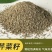 芹菜籽国产芹菜籽芹菜籽源头厂家现货批发质量保证