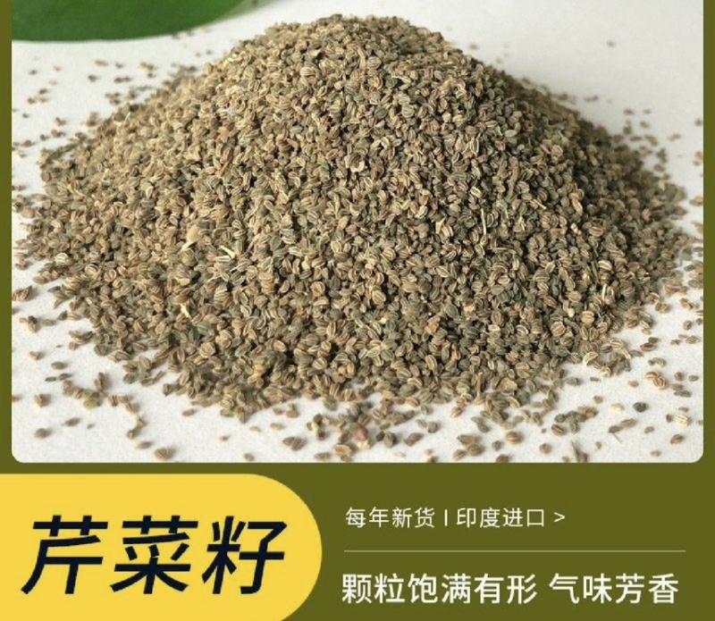 芹菜籽国产芹菜籽芹菜籽源头厂家现货批发质量保证