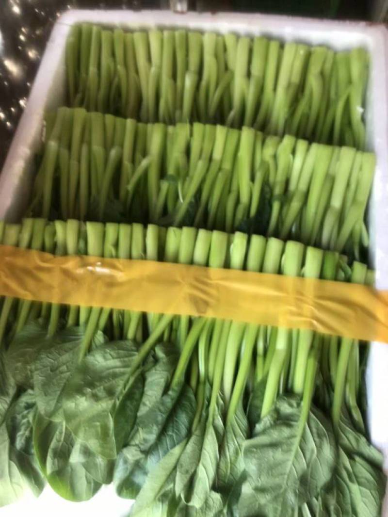 银霆农业有限公司-银霆生鲜---银霆广东菜心