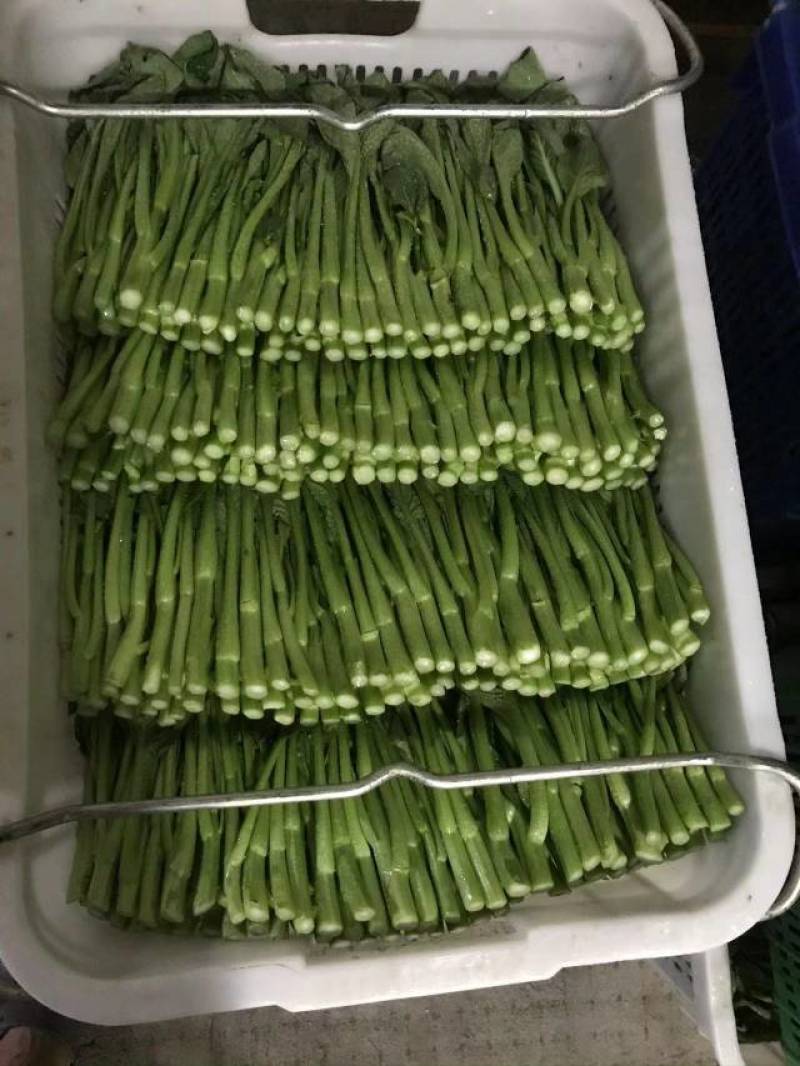银霆农业有限公司-银霆生鲜---银霆广东菜心