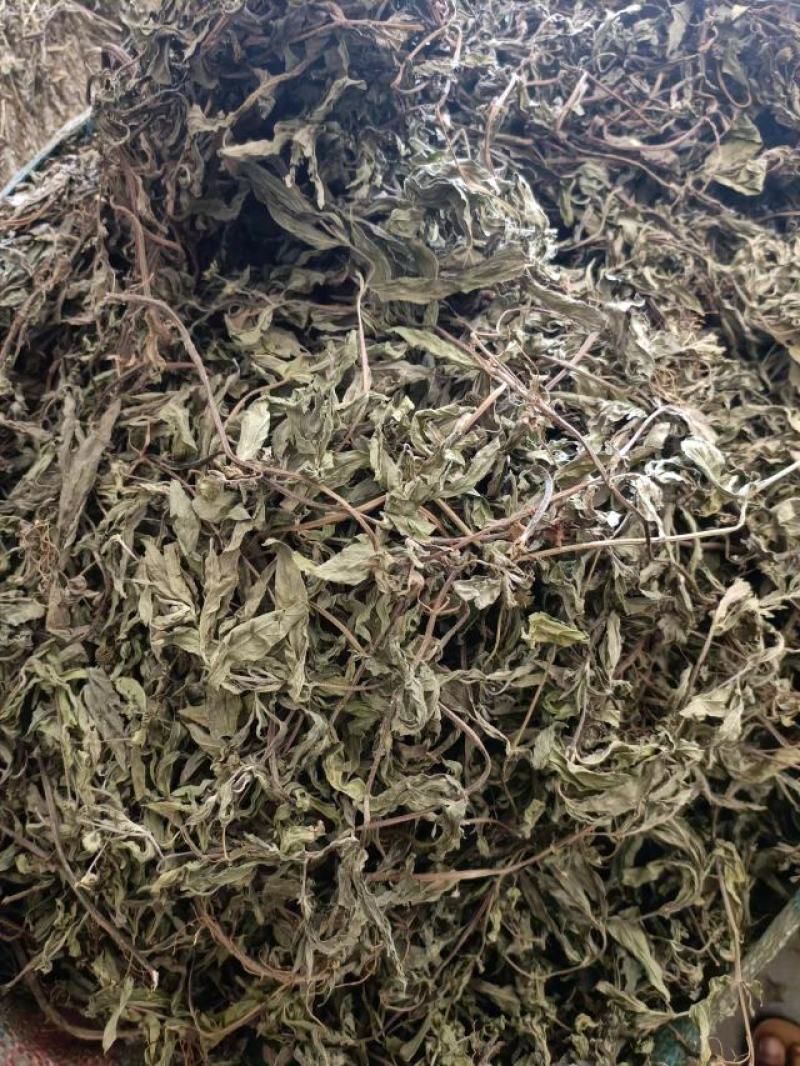 无根无草旱莲草