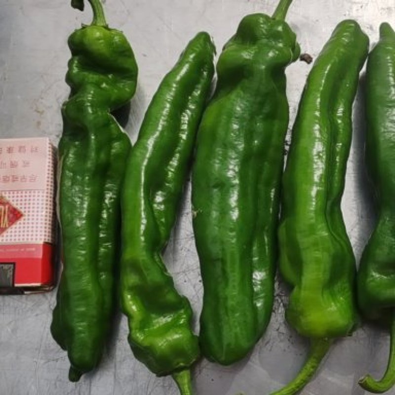 301泡椒，苏椒，线椒，螺丝椒，品种齐全，大量上市中