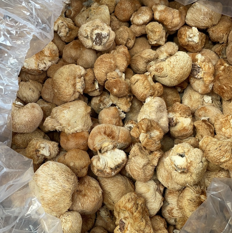 猴头菇批发