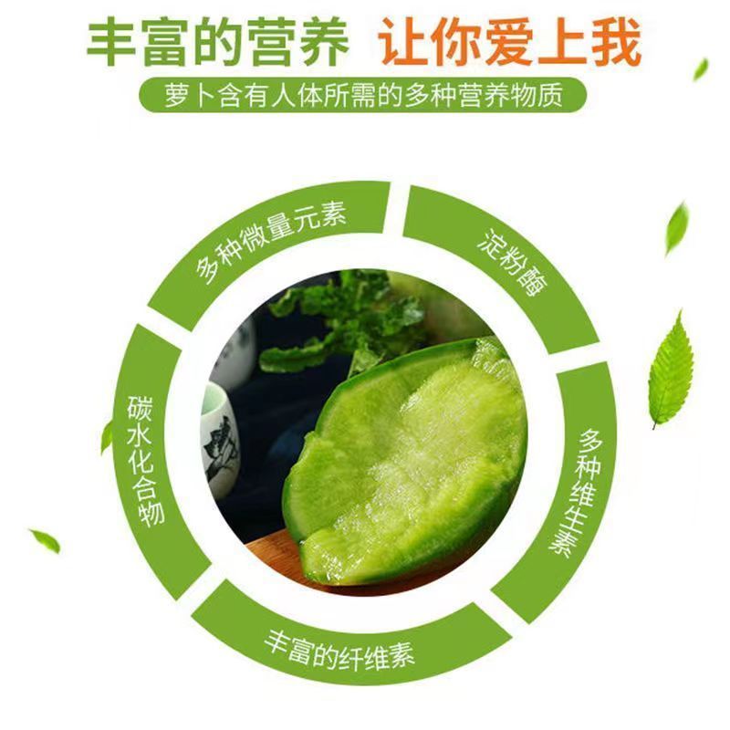 水果萝卜现拔现发潍县青沙窝萝卜可定制礼盒支持一件代发团购