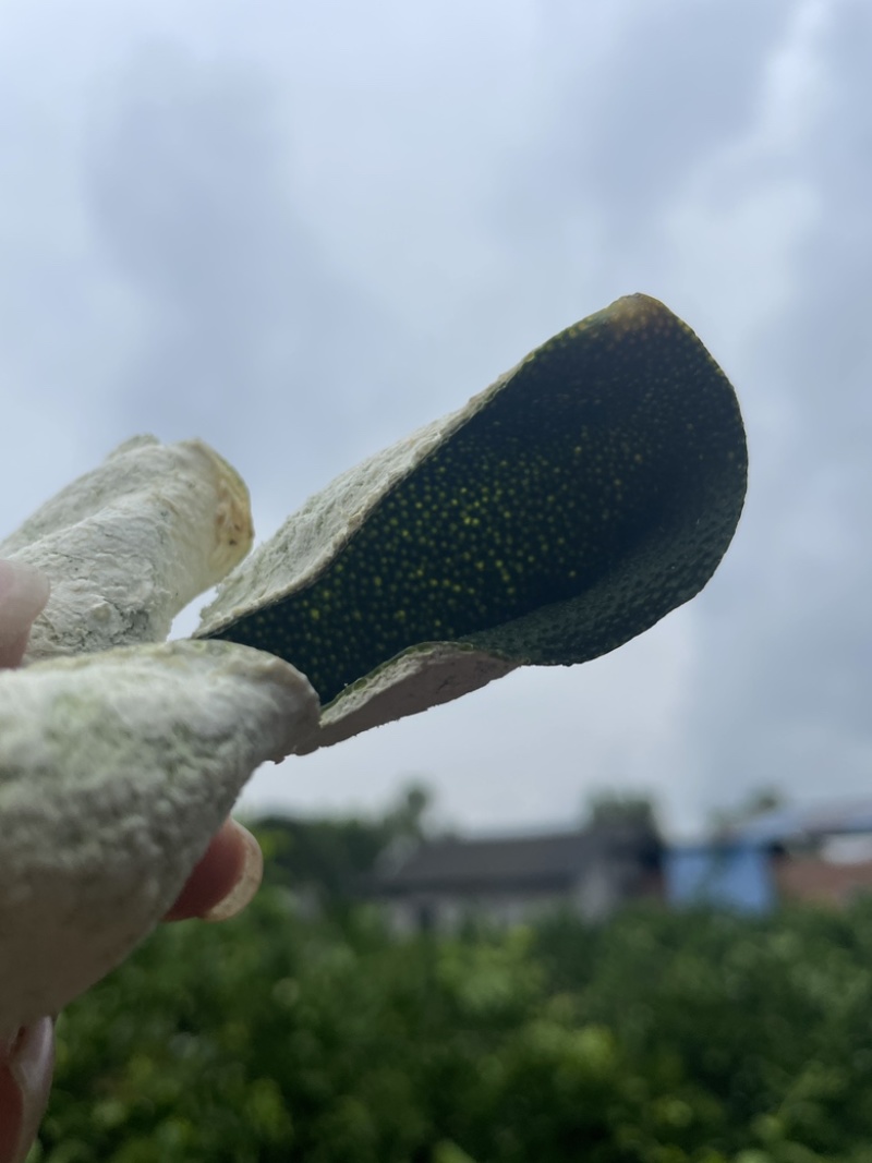新会三花精品青皮陈皮质量保证