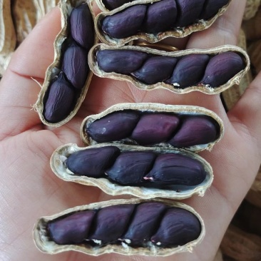 云南黑花生花生黑花生七彩花生量大从优