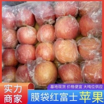 膜袋红富士苹果甜度好，果面干净，个头大，货源充足，供电商