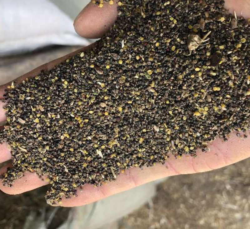 菜籽下脚料油菜籽厂家批发菜籽下脚料量大从优