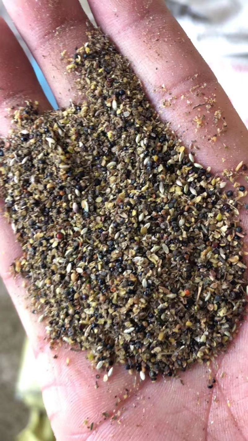 菜籽下脚料油菜籽厂家批发菜籽下脚料量大从优