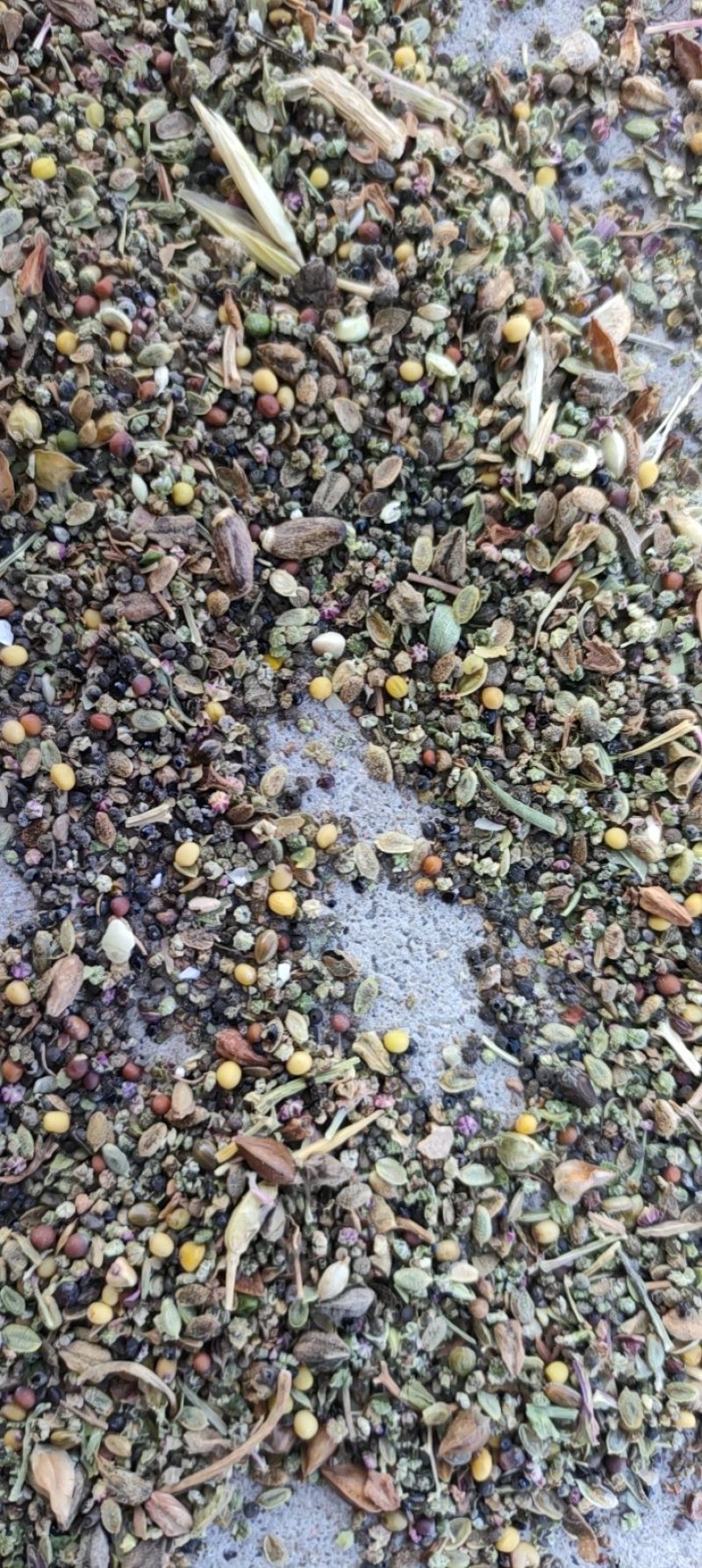 菜籽下脚料油菜籽厂家批发菜籽下脚料量大从优