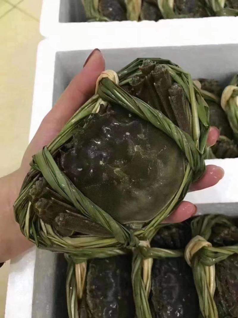 小龙虾大闸蟹