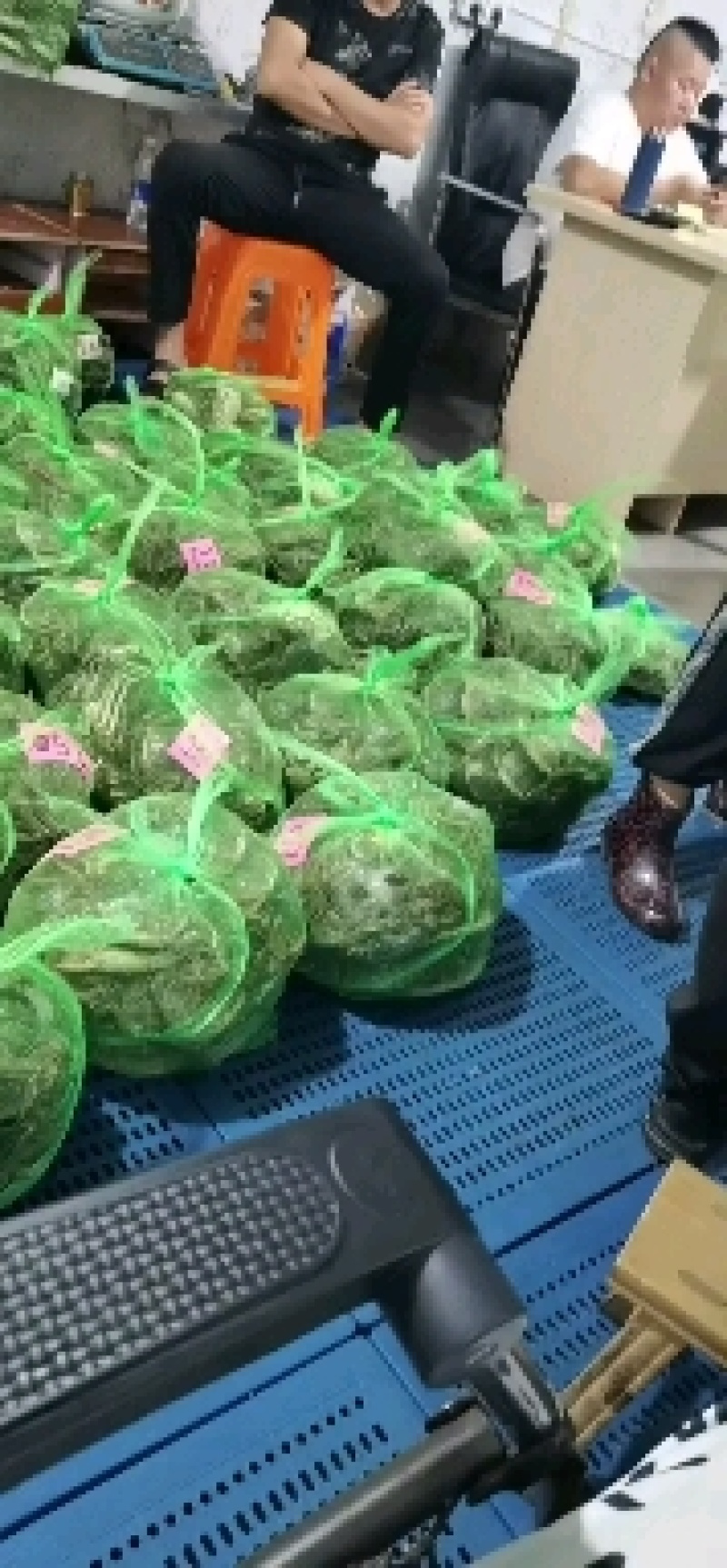 小龙虾大闸蟹