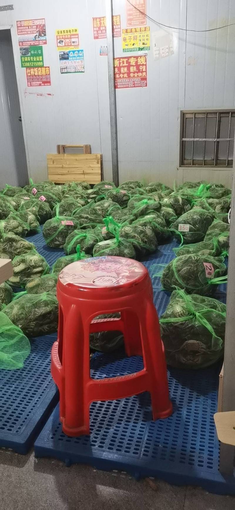 小龙虾大闸蟹