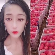 【纸加膜红富士苹果】色泽鲜艳！口感脆甜！全国发货