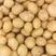 榆林沙漠土豆三优中货大量上市，货品质量全程跟踪监督管理！