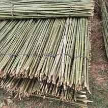 尾口1-3公分，金竹出售，量大从优，各种规格定制