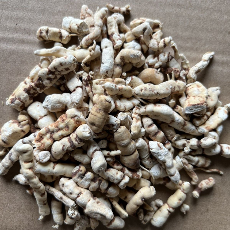 中药材甘遂毛儿眼冷背药材现货供应量大从优。