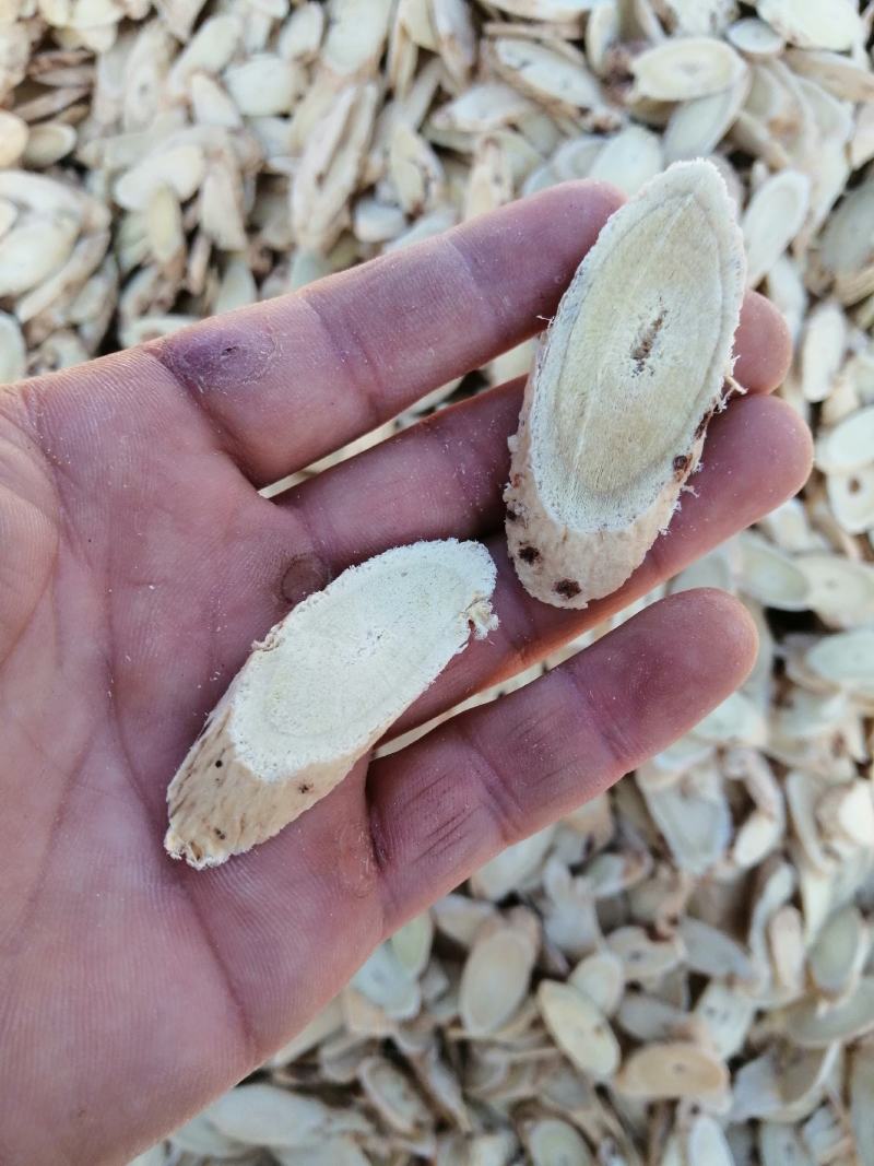黄芪（红心片）过筛选货，成品货里面捡出来的残片，品质保证