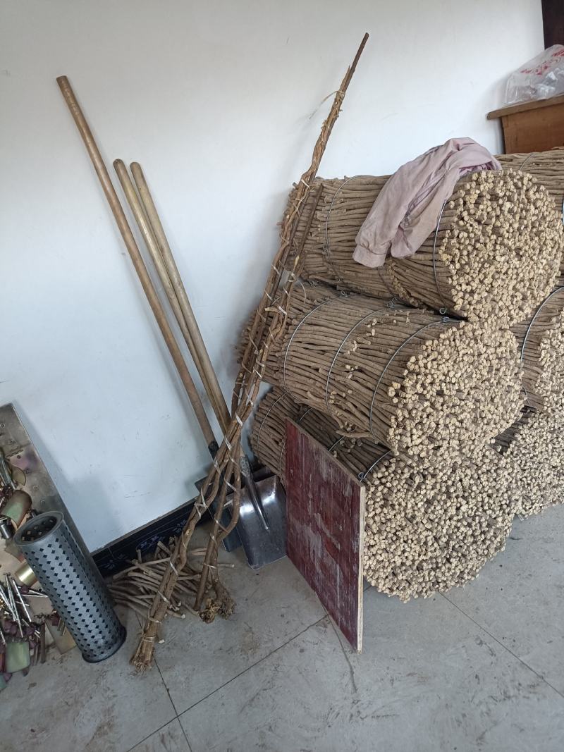 黄芪（红心片）过筛选货，成品货里面捡出来的残片，品质保证