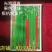 洛椒条椒90号墨绿色线椒新品果色深绿又长又直抗病丰产