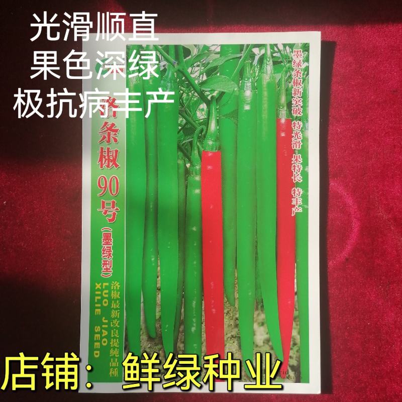 洛椒条椒90号墨绿色线椒新品果色深绿又长又直抗病丰产