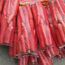 陕西大荔常年供应5斤小袋水果秤杆红罗卜一手货源量大从优！