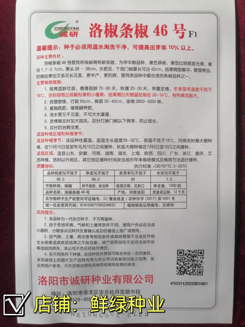 洛椒条椒90号墨绿色线椒新品果色深绿又长又直抗病丰产