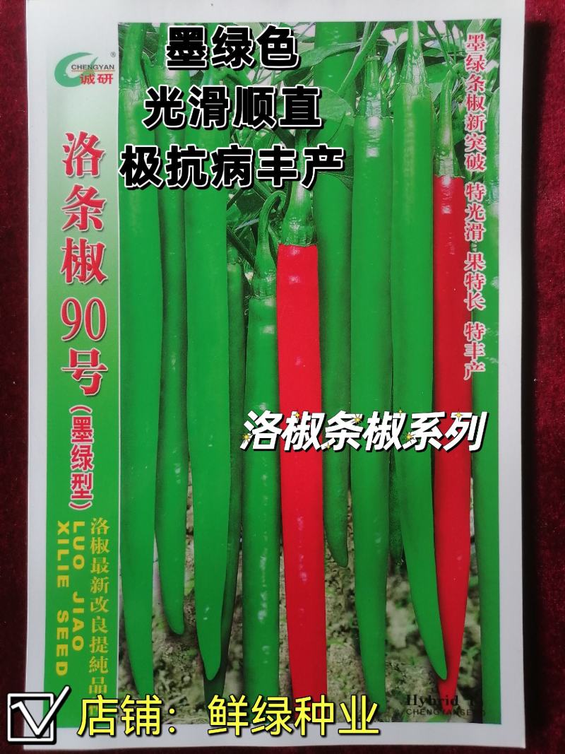 洛椒条椒90号墨绿色线椒新品果色深绿又长又直抗病丰产