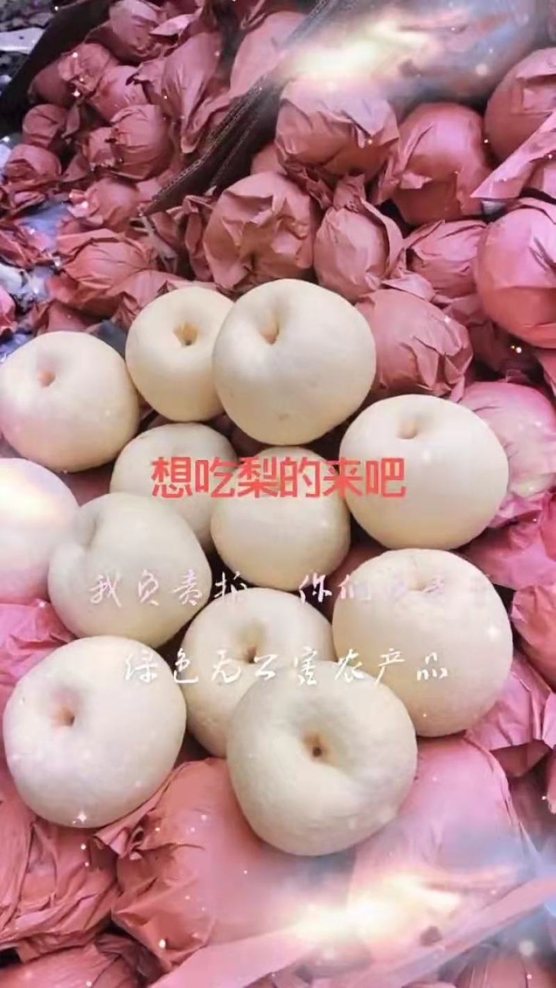 酥梨